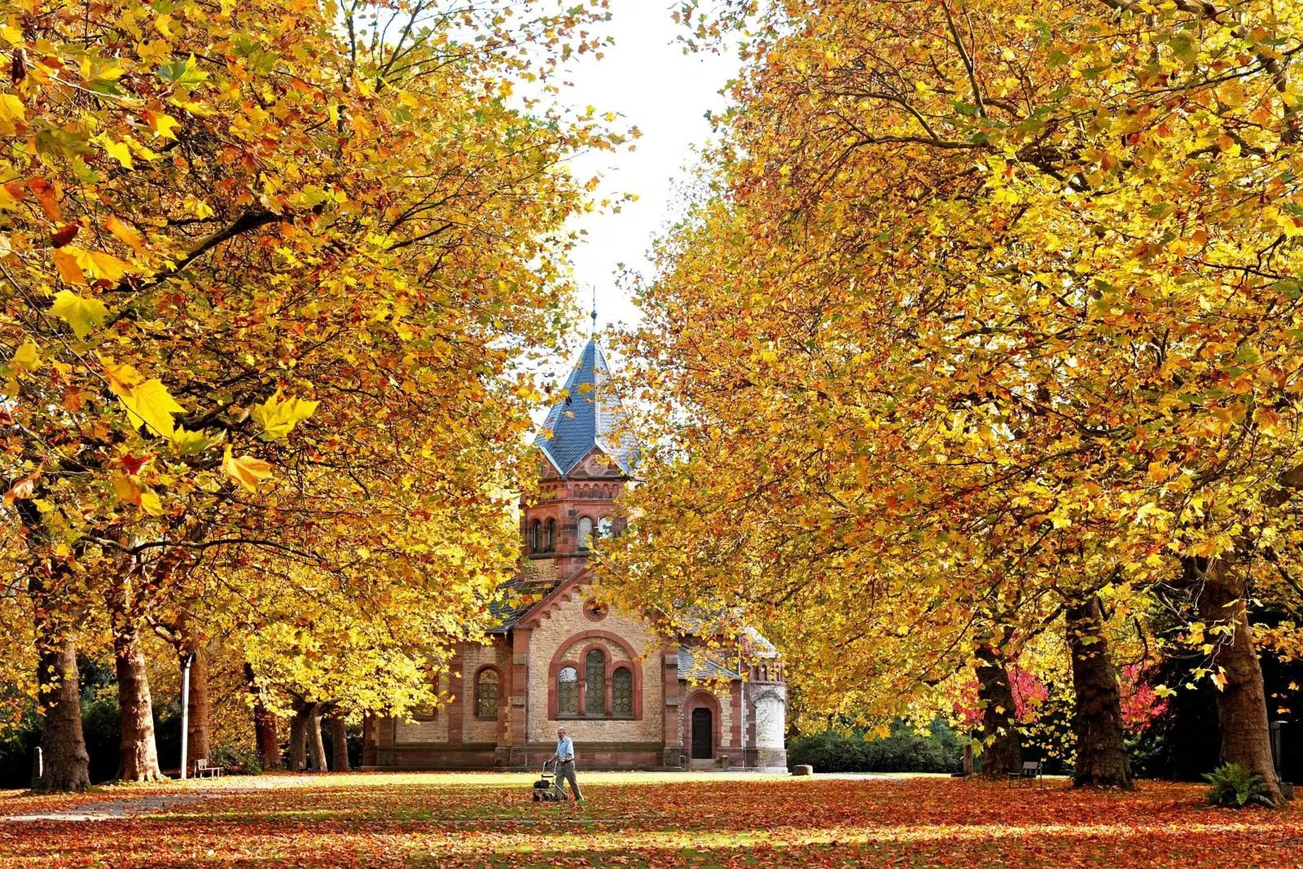 Ein älterer Mann spaziert durch den Garten des Stadfriedhofs, Ausflugsziels in Göttingen, umgeben von den bunten Herbstfarben der Bäume