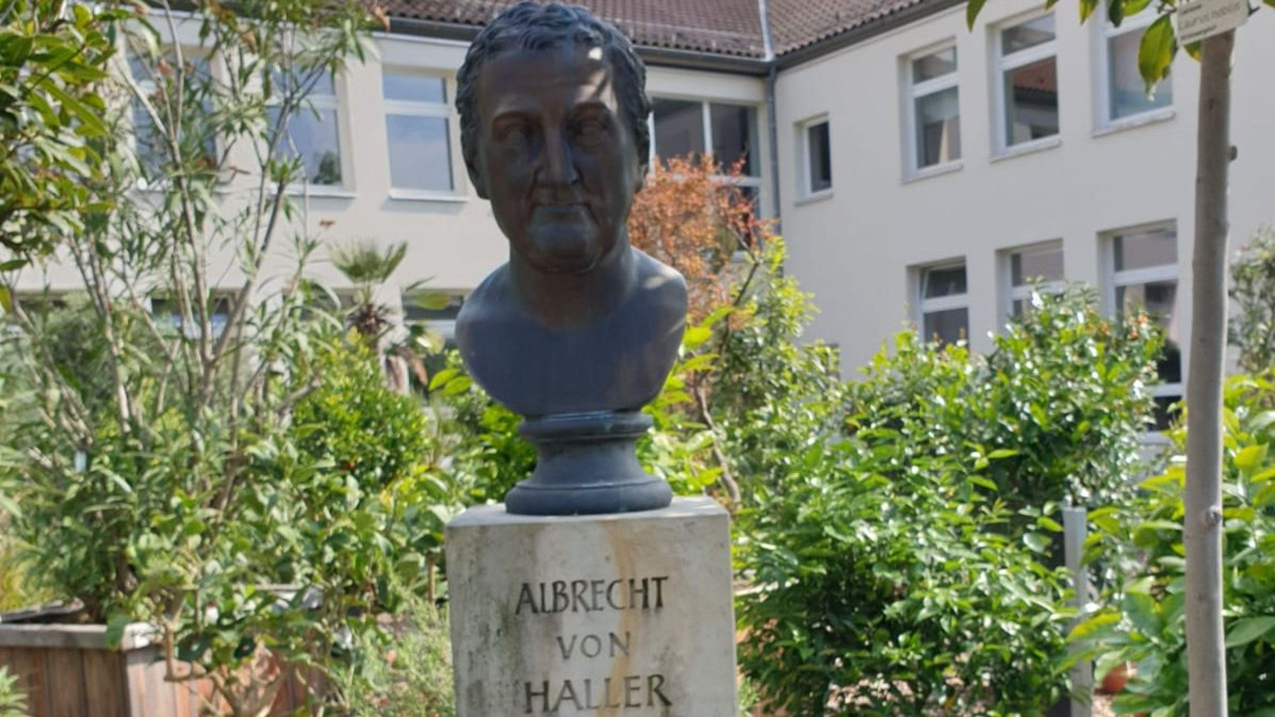 Nahaufnahme einer Statue von Albrecht von Haller im Botanischen Garten bei Ausflugsziele in Göttingen